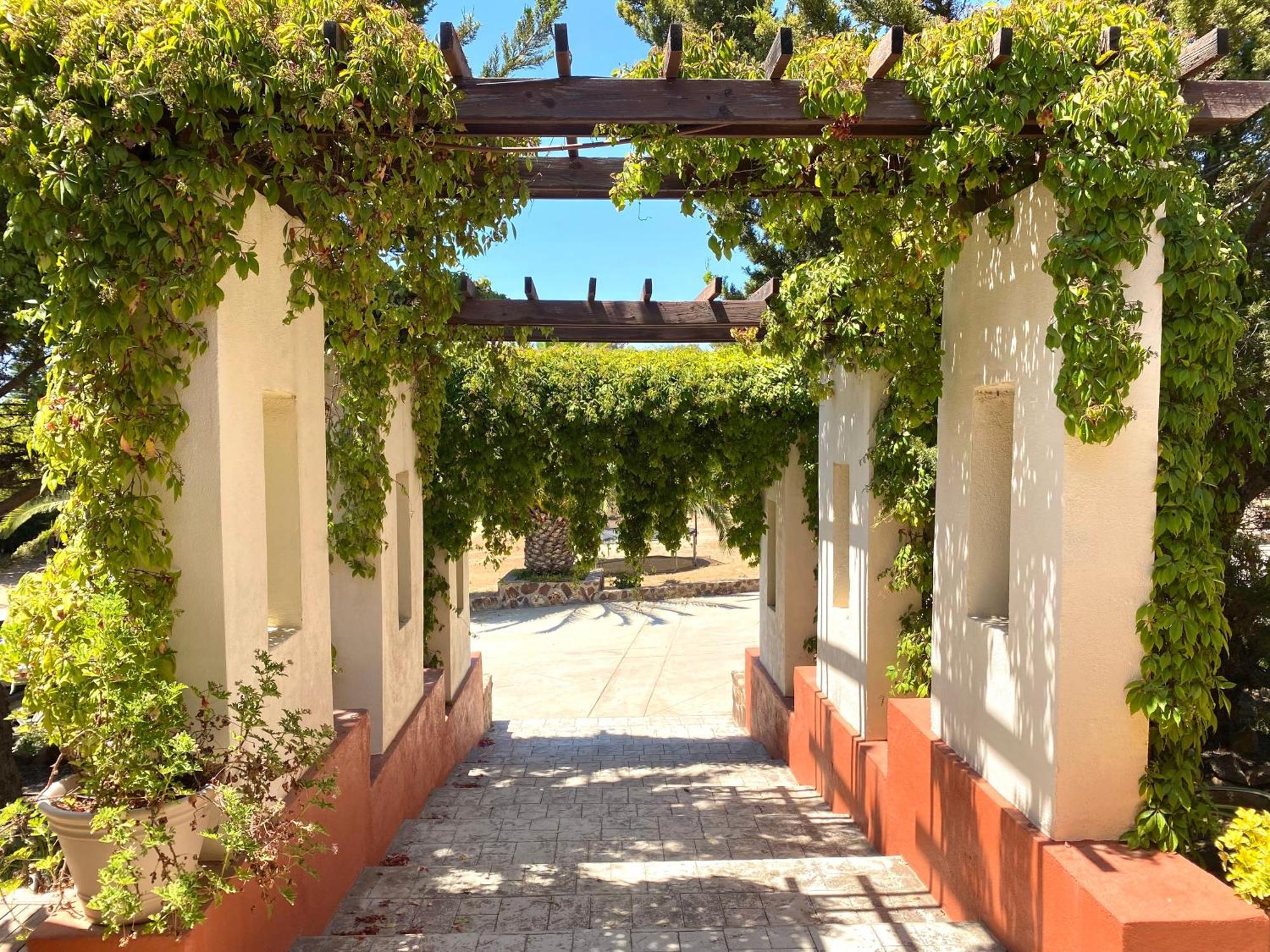 Отель Tierra Mia Hacienda Ruta Del Vino Валье-де-Гуадалупе Экстерьер фото